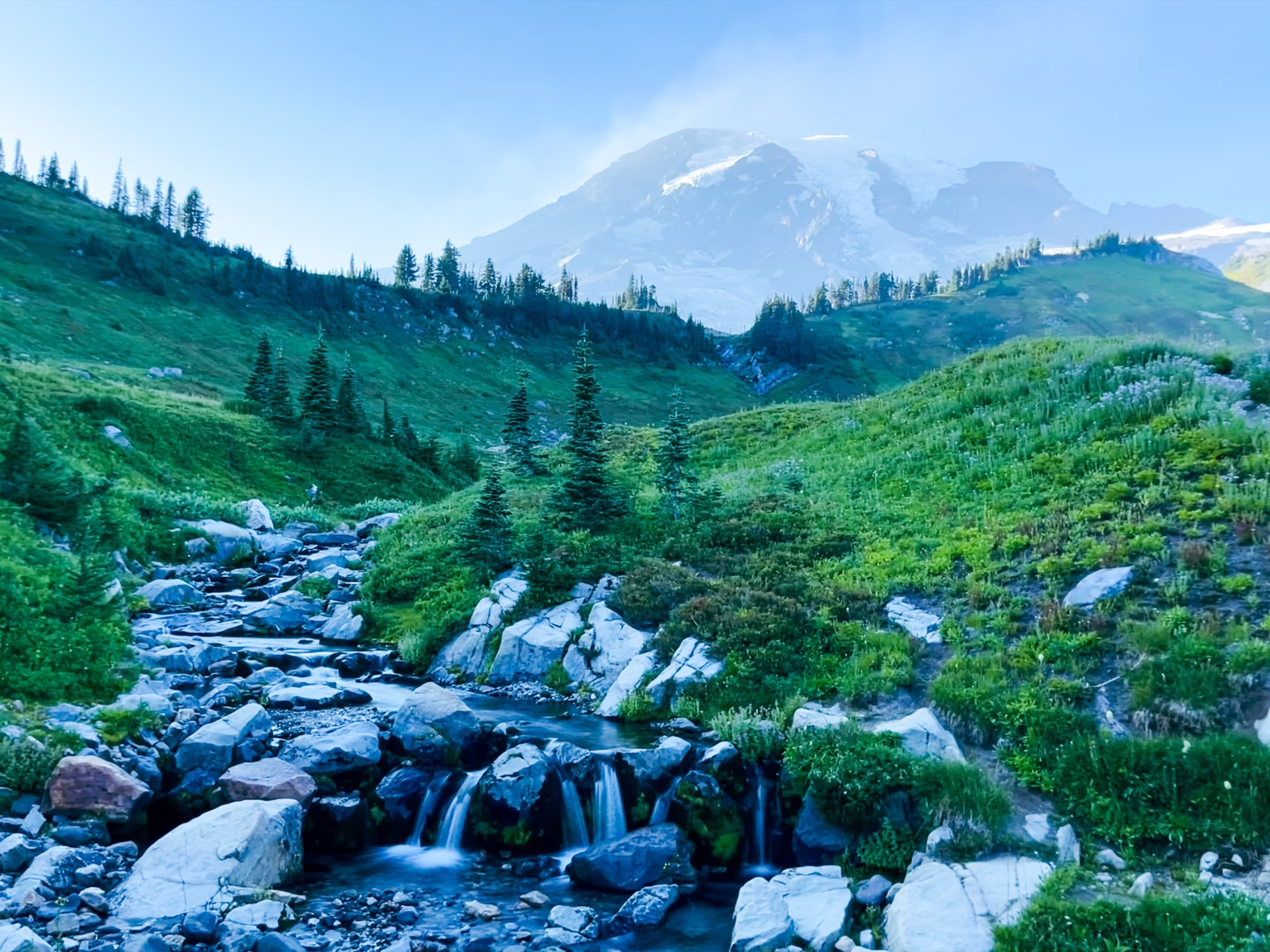 An alpine meadow with a stream running toward a snow-capped peak